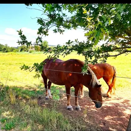 Neue Pfaelzerwald Mit Garten Am Fluss * Katzweiler
