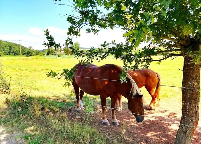 Neue Pfaelzerwald Mit Garten Am Fluss * Katzweiler